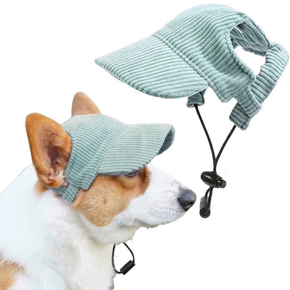 Teal Dog Baseball Cap